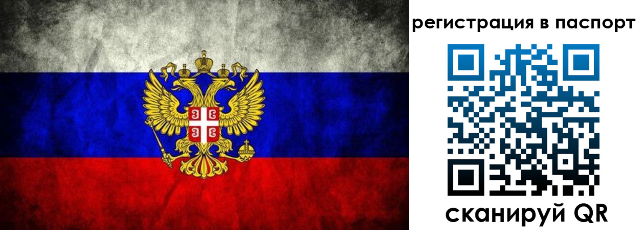 временная регистрация купить в Воронежской области
